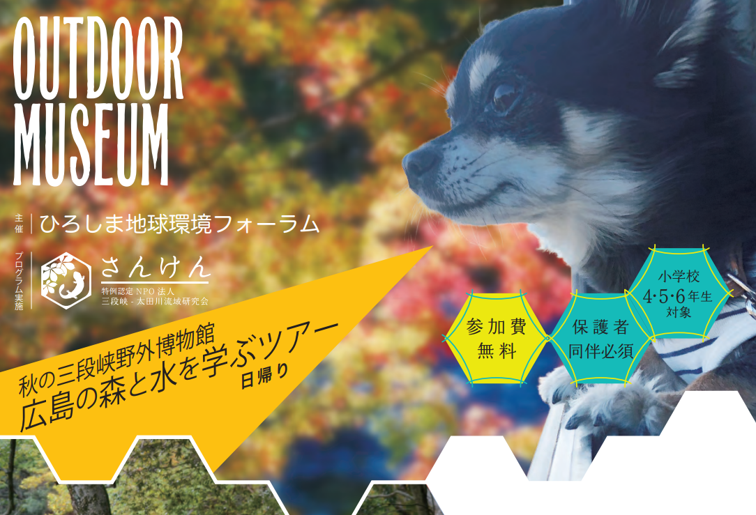 R3_秋の三段峡野外博物館　広島の森と水を学ぶツアーを開催しました。